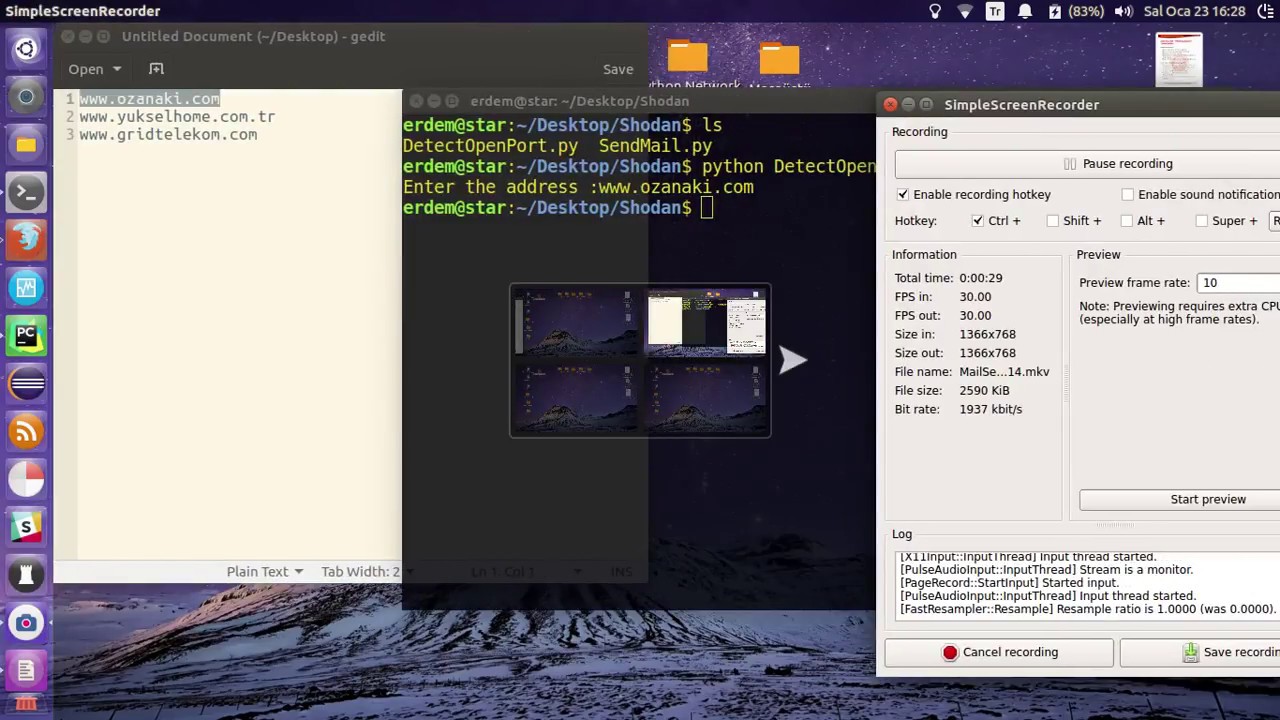 Python Detect Open Port with Shodan