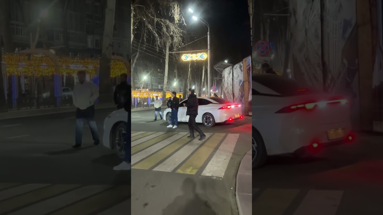 ازعلل مهاجرت به تاجیکستان تاشیرینی لهجه ایرانی Азсабабҳои муҳоҷират баТоҷикистонто лаҳҷаишириниэронӣ