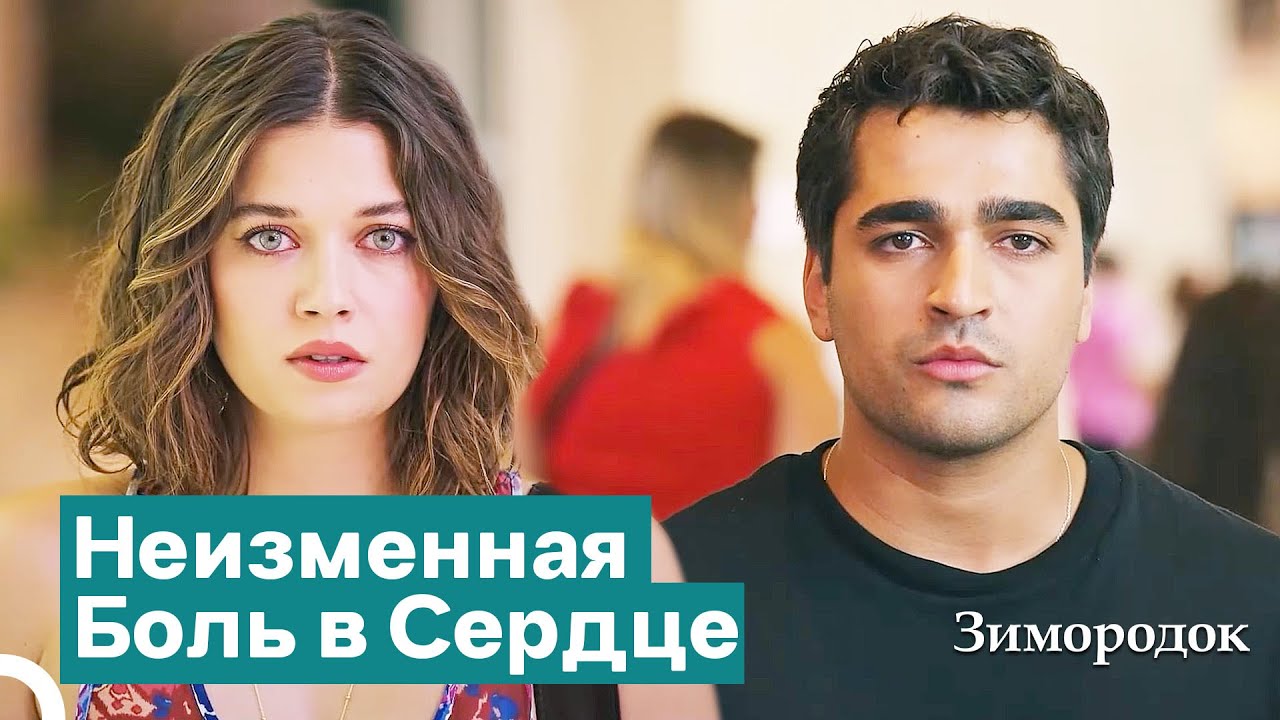 Ферит и Сейран Увидели Друг Друга Спустя Годы | Зимородок
