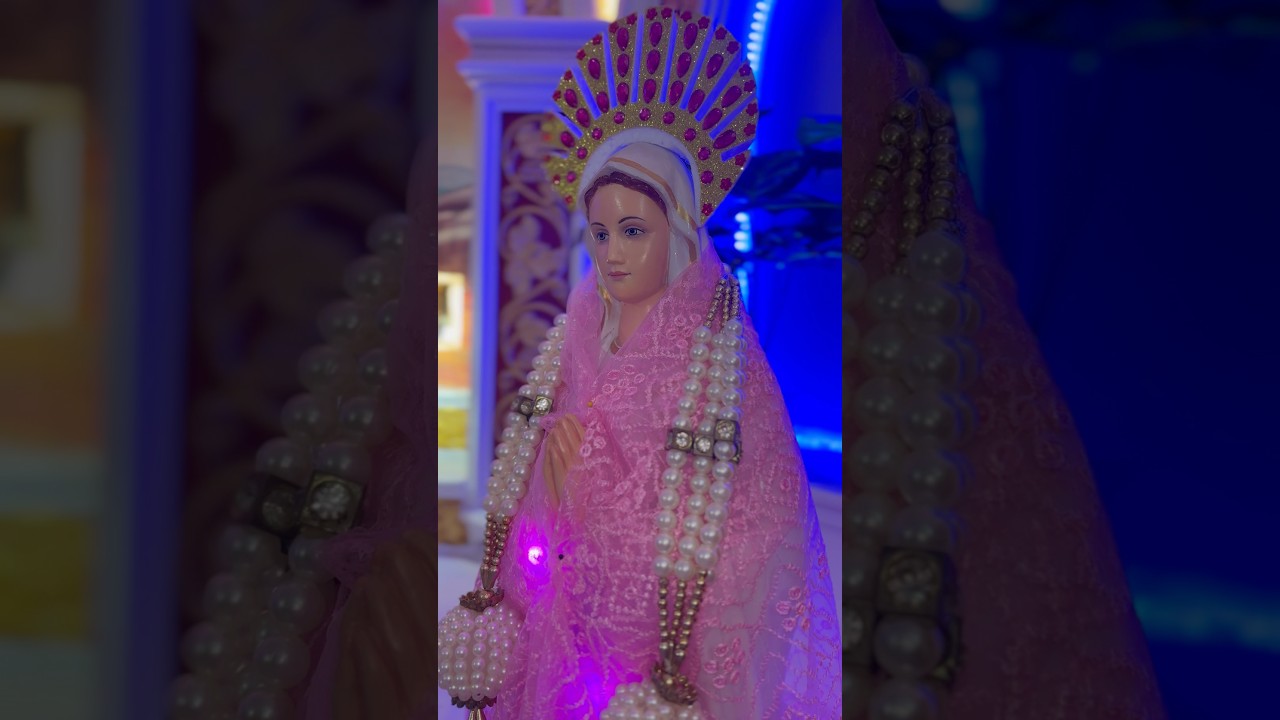 Mother Mary’s Role in Salvation: A Catholic Perspective” 