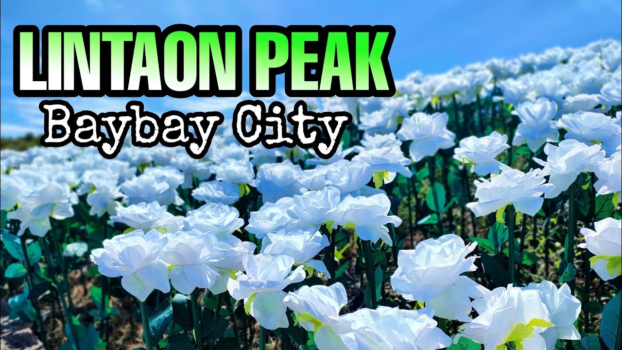 LET'S  RIDE TO LINTAON PEAK | Baybay City