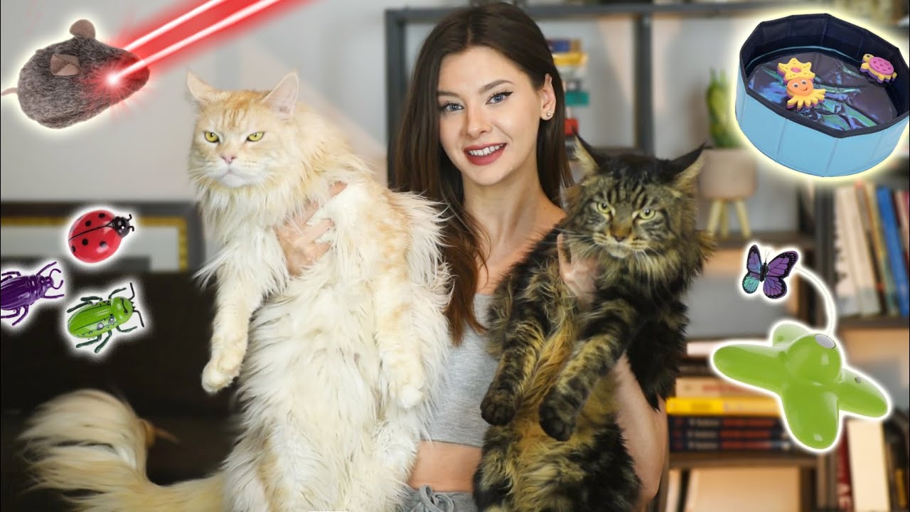 TEST ZABAWEK DLA KOTÓW 🐾