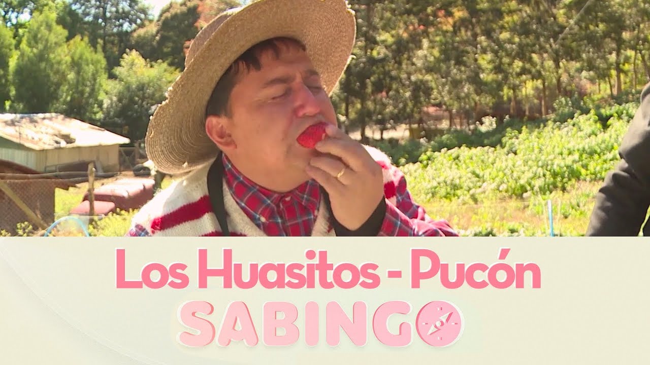 Los Huasitos conocieron las delicias de Pucón - Sabingo