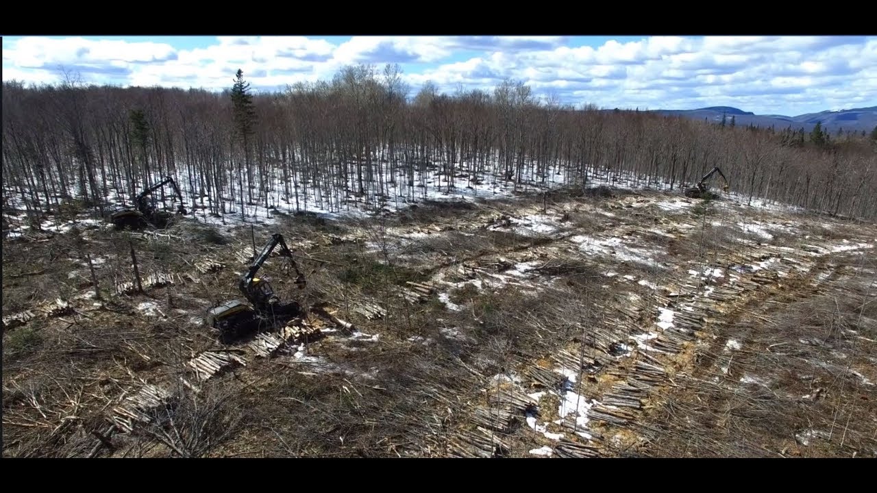 3 Ponsse Scorpions Operating in Northern New Brunswick