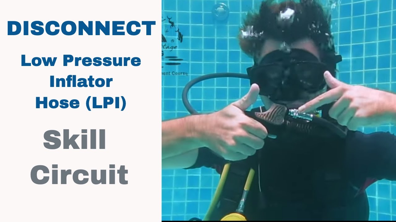 Disconnect LPI Low Pressure Inflator Hose &bull; Divemaster & PADI IDC Skill Circuit