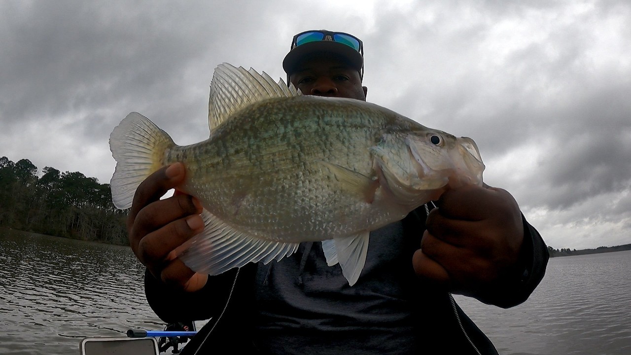 The Best Areas To Find Pre Spawn Crappie