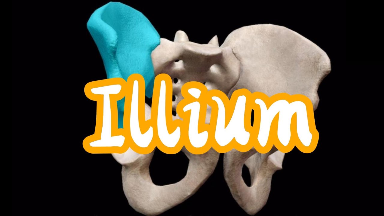Illium