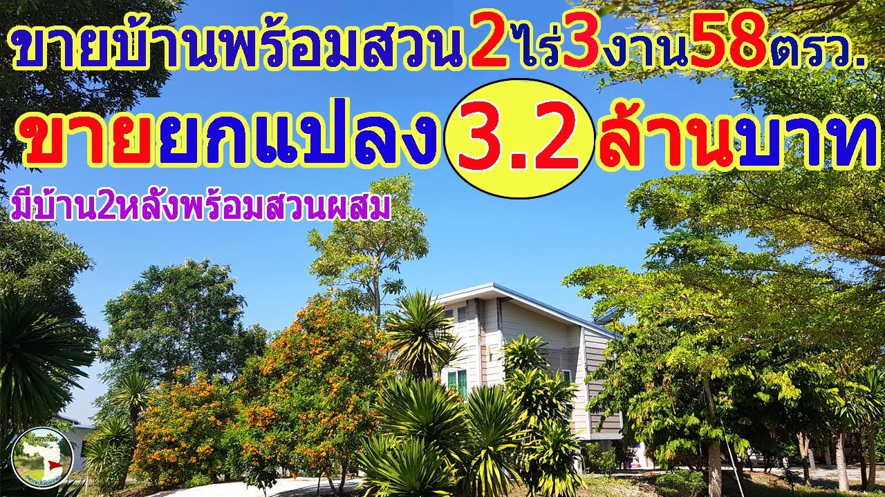 📌(ปิดการขาย)บ้านพร้อมสวน2ไร่3งาน58ตรว.💶ขายยกแปลง3.2ล้านบาท👉ต.พลับพลาไชยอ.อู่ทองจ.สุพรรณ📞098-8451057