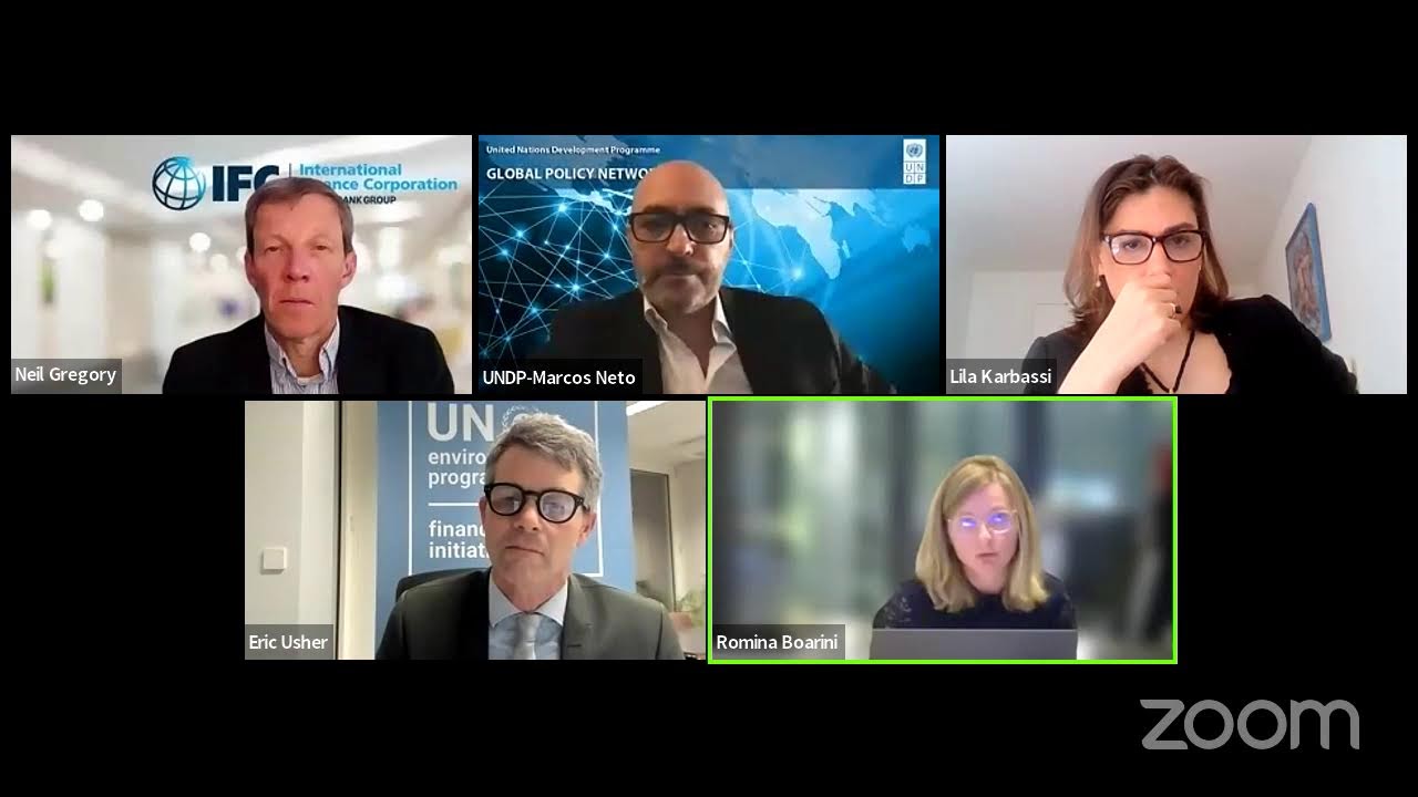 Introducing the Impact Management Platform | Progress towards mainstreaming impact management