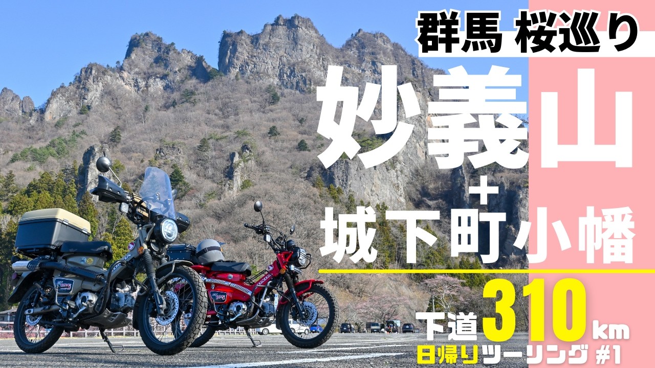 【最新】群馬の桜開花状況！妙義山と城下町小幡をハンターカブでお花見ツーリング