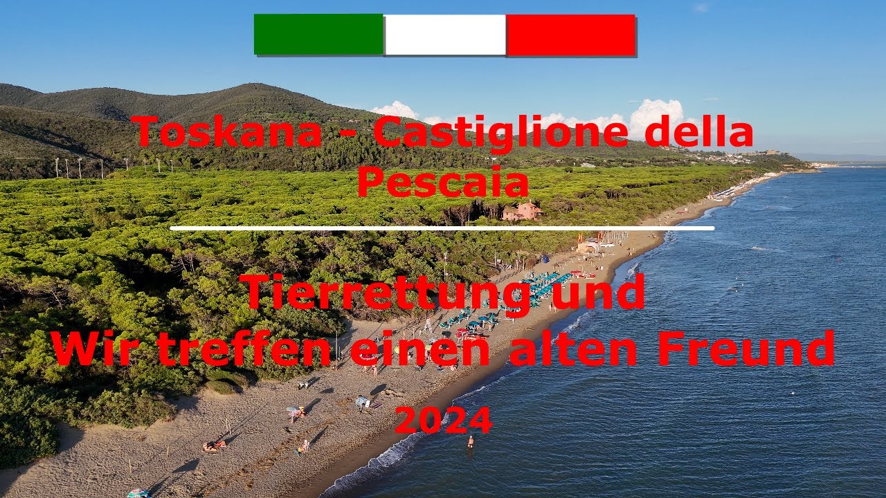 #31 #toskana  #castiglione della Pescaia Spaziergang, Tierrettung und wir treffen einen Freund.