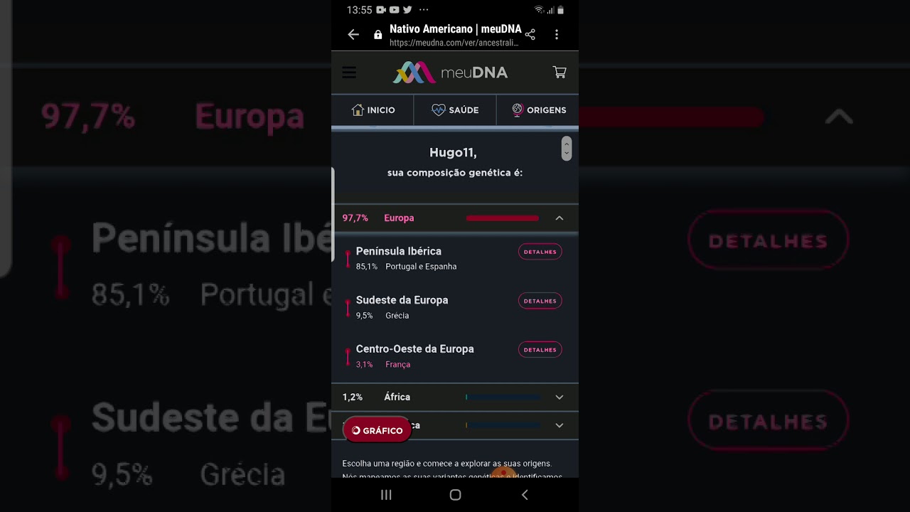 Meu DNA Origens - Resultados