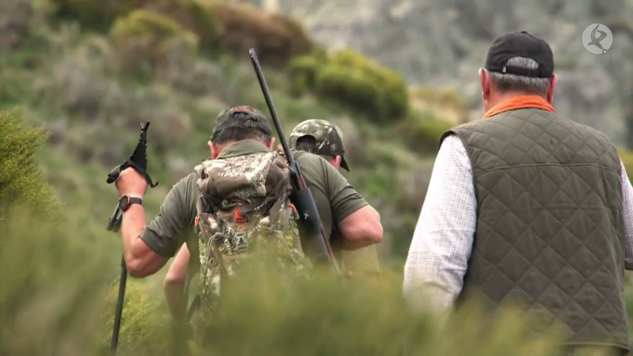 Guarda y custodia del medio natural y actividades cineg&eacute;ticas | Cazadores de Lances