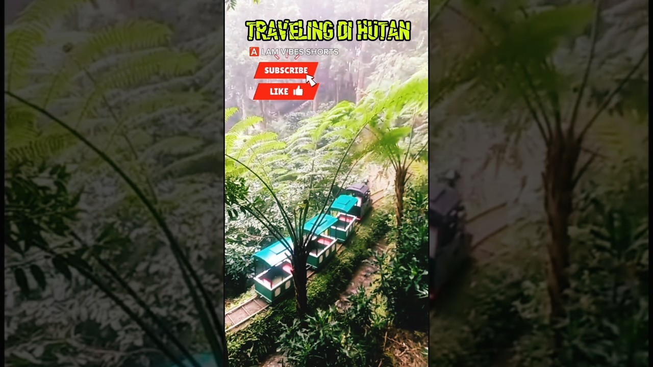 ⛔TRAVELING DI HUTAN 