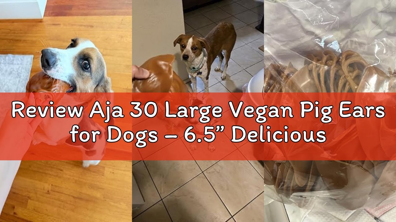 Review Aja 30 Large Vegan Pig Ears for Dogs – 6.5” Delicious, Peanut Butter Dental Chews, Rawhide-Fr