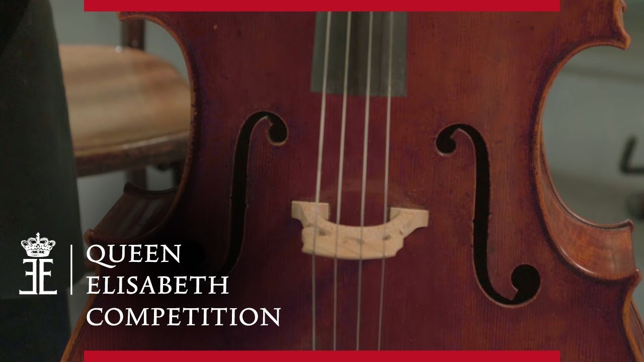 Le Violoncelle | Anatomie
