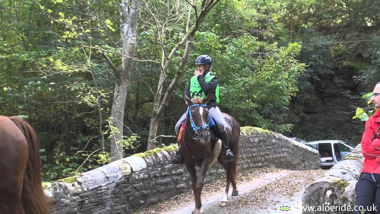 Red Dragon Festival Of Endurance GB 2014