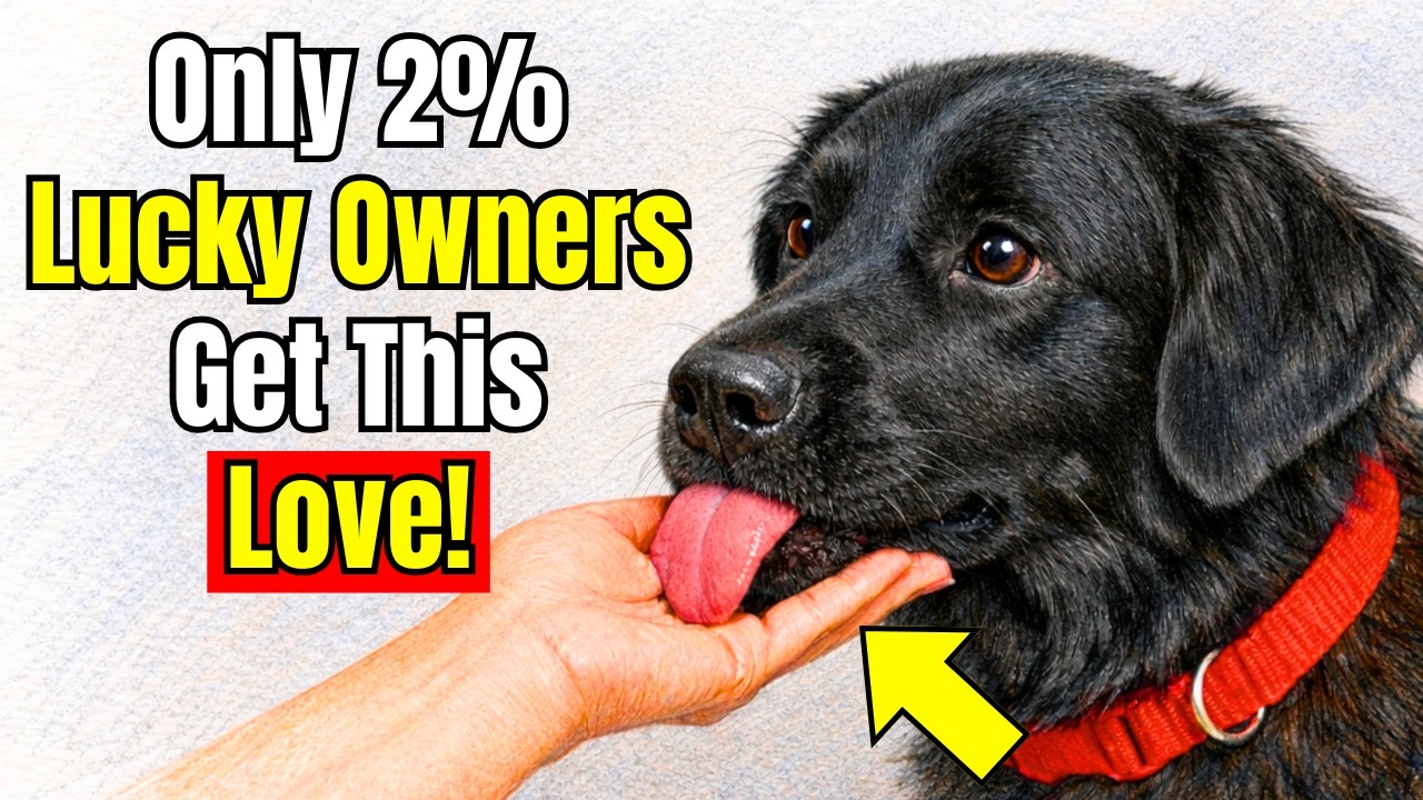 20 Rare Behaviors Dogs ONLY Show When They Love You Most