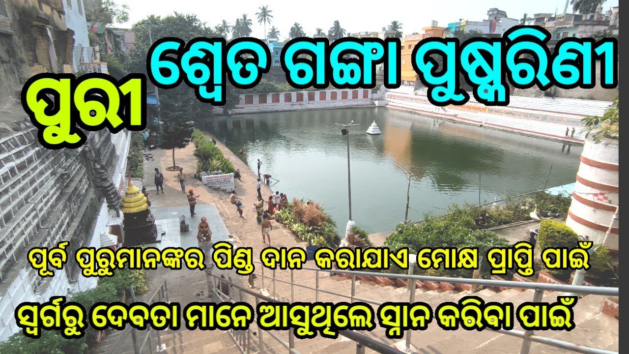 Puri Sweta Ganga puskarini real place of pindadan। ଶ୍ଵେତ ଗଙ୍ଗା ପୁଷ୍କରିଣୀ ପୁରୀ ଧାମ @AamaGourabaMedia