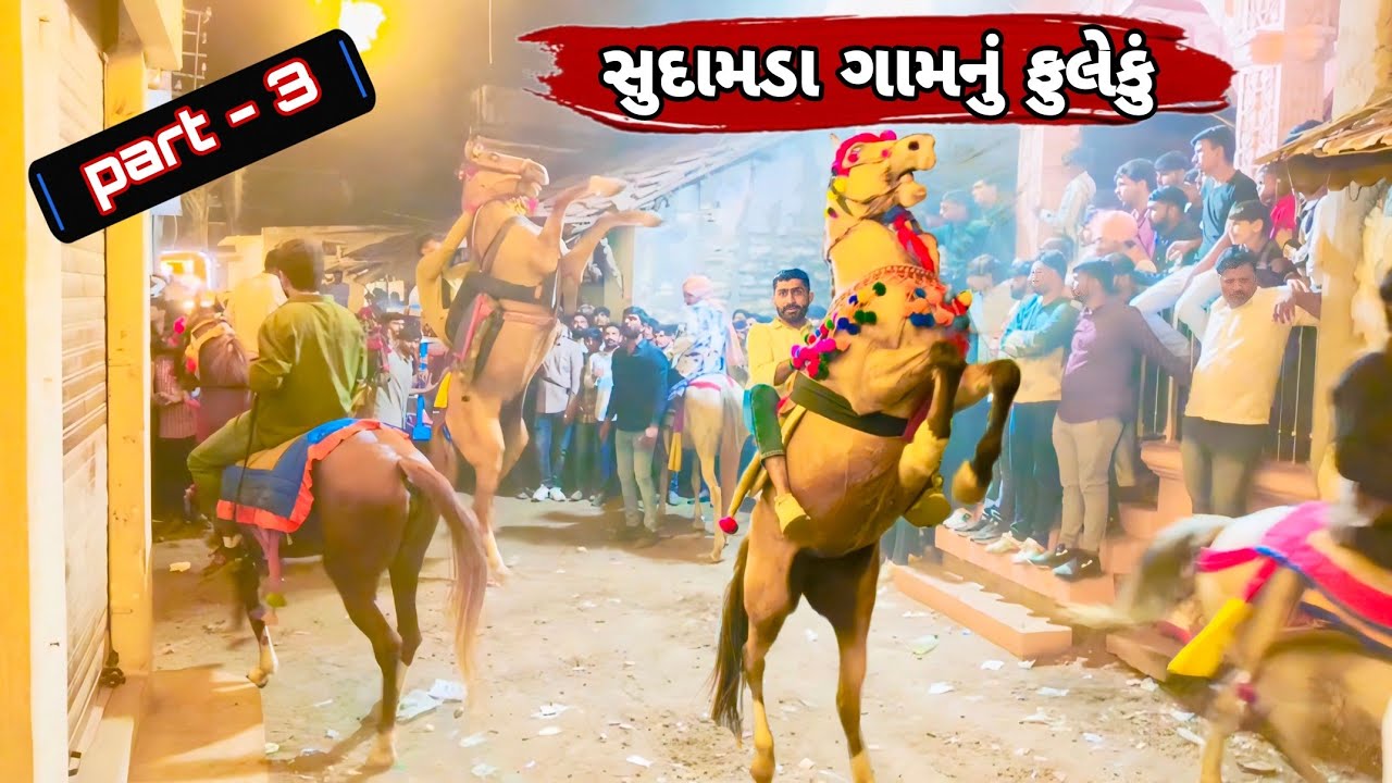 સુદામડા ગામનું ફુલેકું PART -3|FULEKU|KATHIYWADI HORSE FULEKU|HORSE LOVERS|HORSE LIFE|HORSE VLOG|