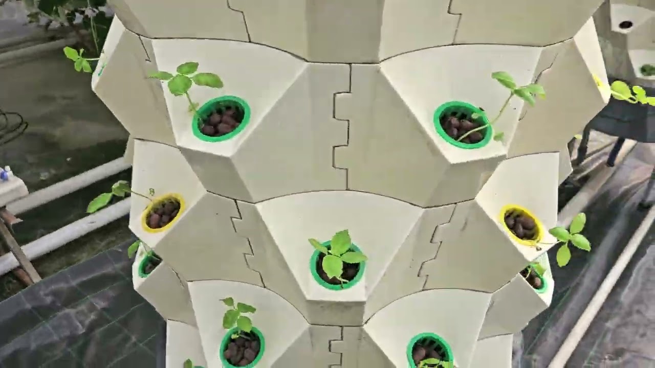 Aeroponic tower hydroponic farm system
