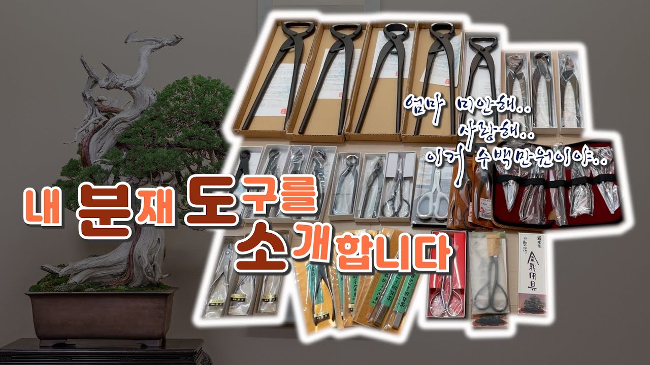 분재 도구 핵심만 가져왔습니다!