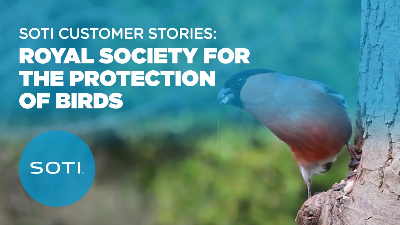 SOTI Customer Stories: Royal Society for the Protection of Birds (RSPB)