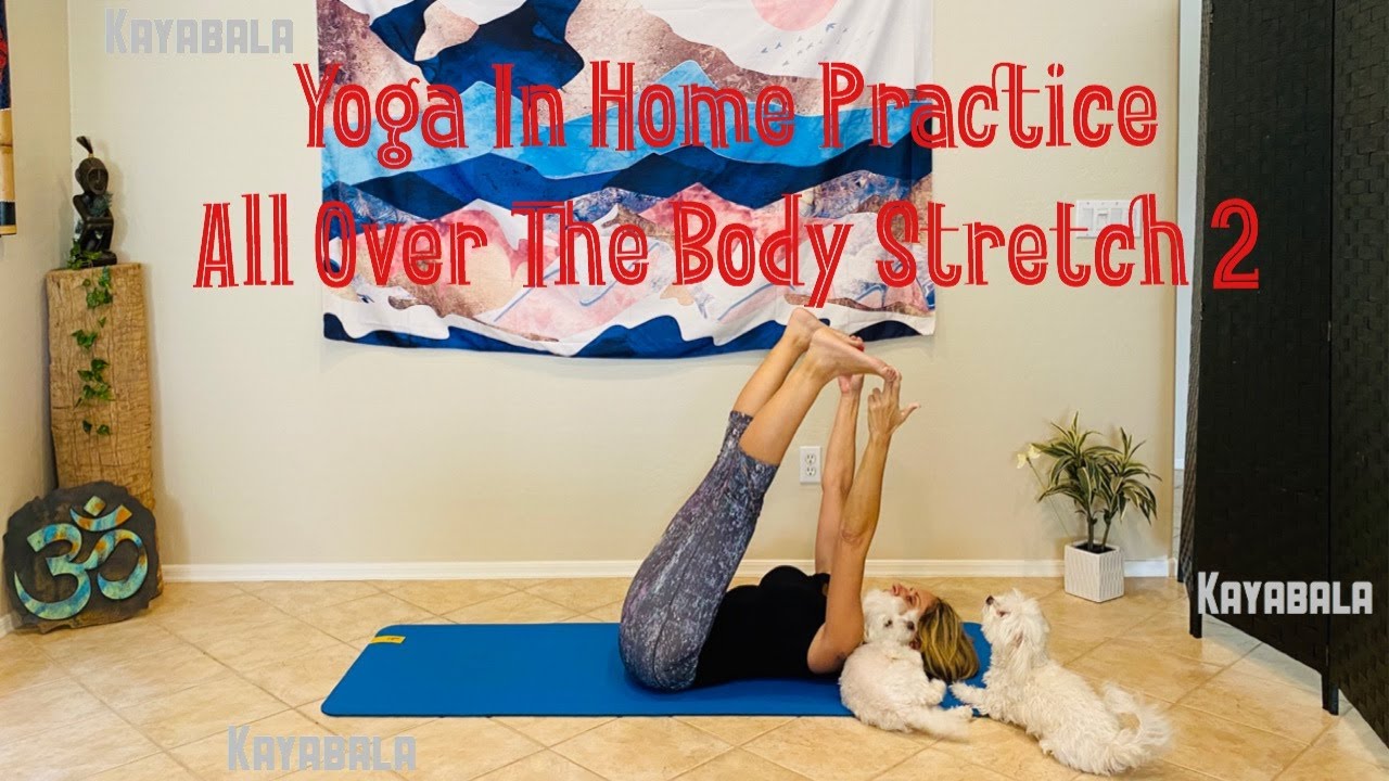 Yoga for Quarantine Full Body Stretch, In home Practice # 2