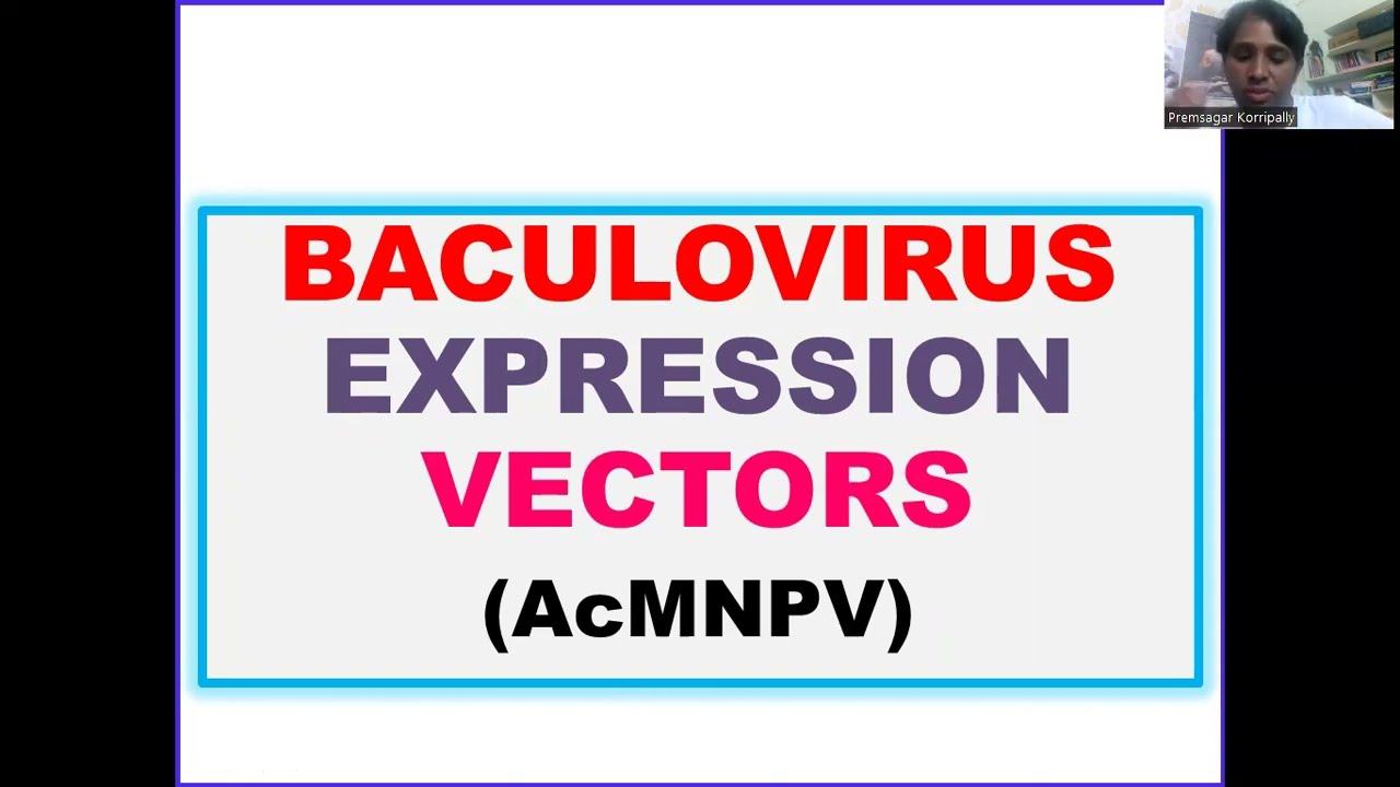 Baculovirus expression Vectors: AcMNPV @Dr.DNA-Primer