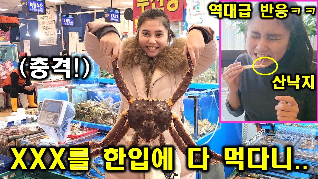 인도네시아 아내가 난생처음 노량진 수산시장에서 해산물을 먹어보고 역대급 반응을 보여주네요 ㄷㄷㄷ!(ft. XXX를 한입에 먹어버리는 뿌뜨리 ㅋㅋㅋ 한국인이네 완전)