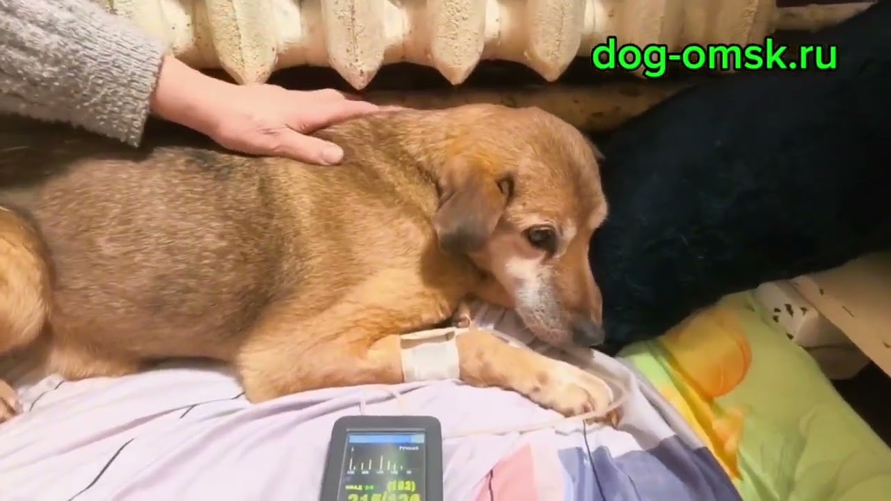 Итоги дня 22.01.2026