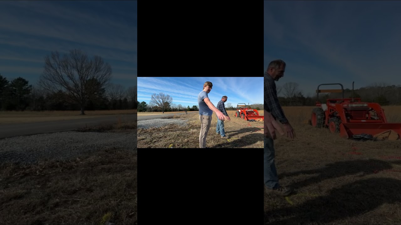Farm Privacy Project: 300 Loblolly Pines in the Ground