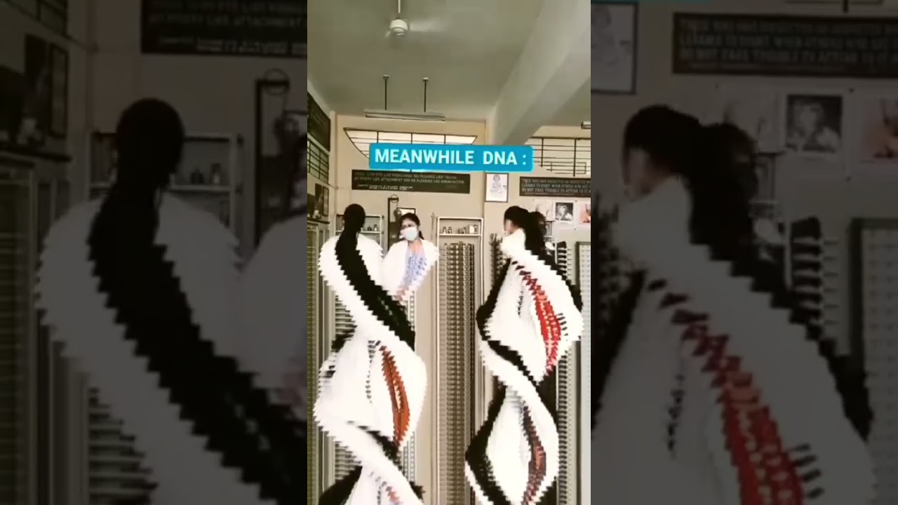 DNA and RNA VISUALISE IN 3D