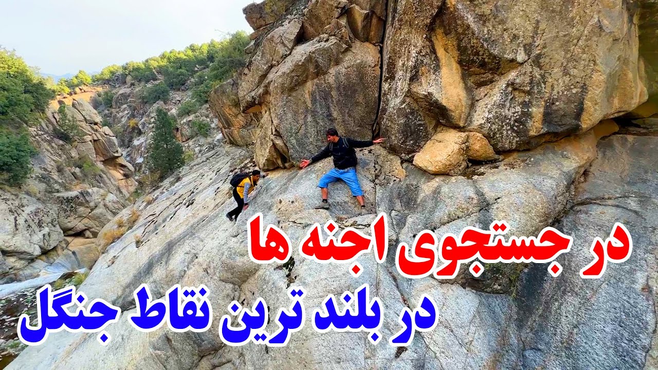 ادامه سفر جنگل جن زده - به دنبال خانه اجنه ها / قسمت نهم