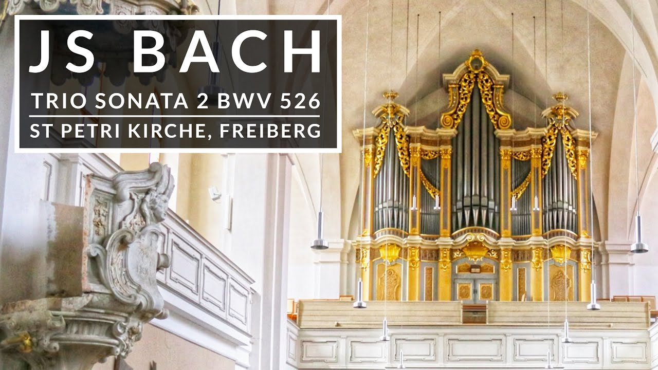 🎵 JS Bach - Trio Sonata No 2 in C Minor BWV 526 | St Petrikirche, Freiberg