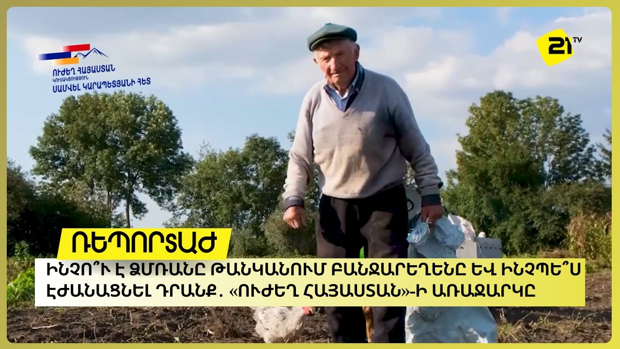 Ինչո՞ւ է ձմռանը թանկանում բանջարեղենը և ինչպե՞ս էժանացնել դրանք․ «Ուժեղ Հայաստան»-ի առաջարկը
