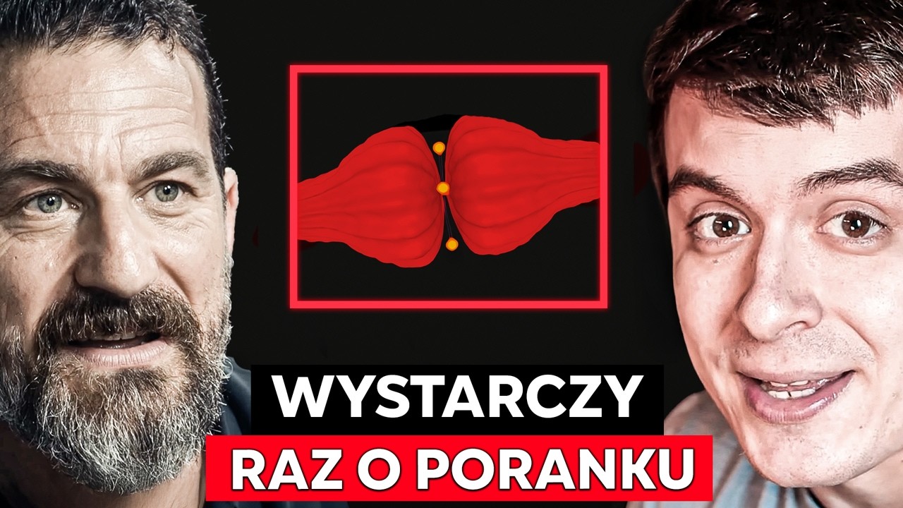 Neurobiolog: Stymuluj Tę Część, a Serotonina Zaleje Twój Mózg | Andrew Huberman Po Polsku
