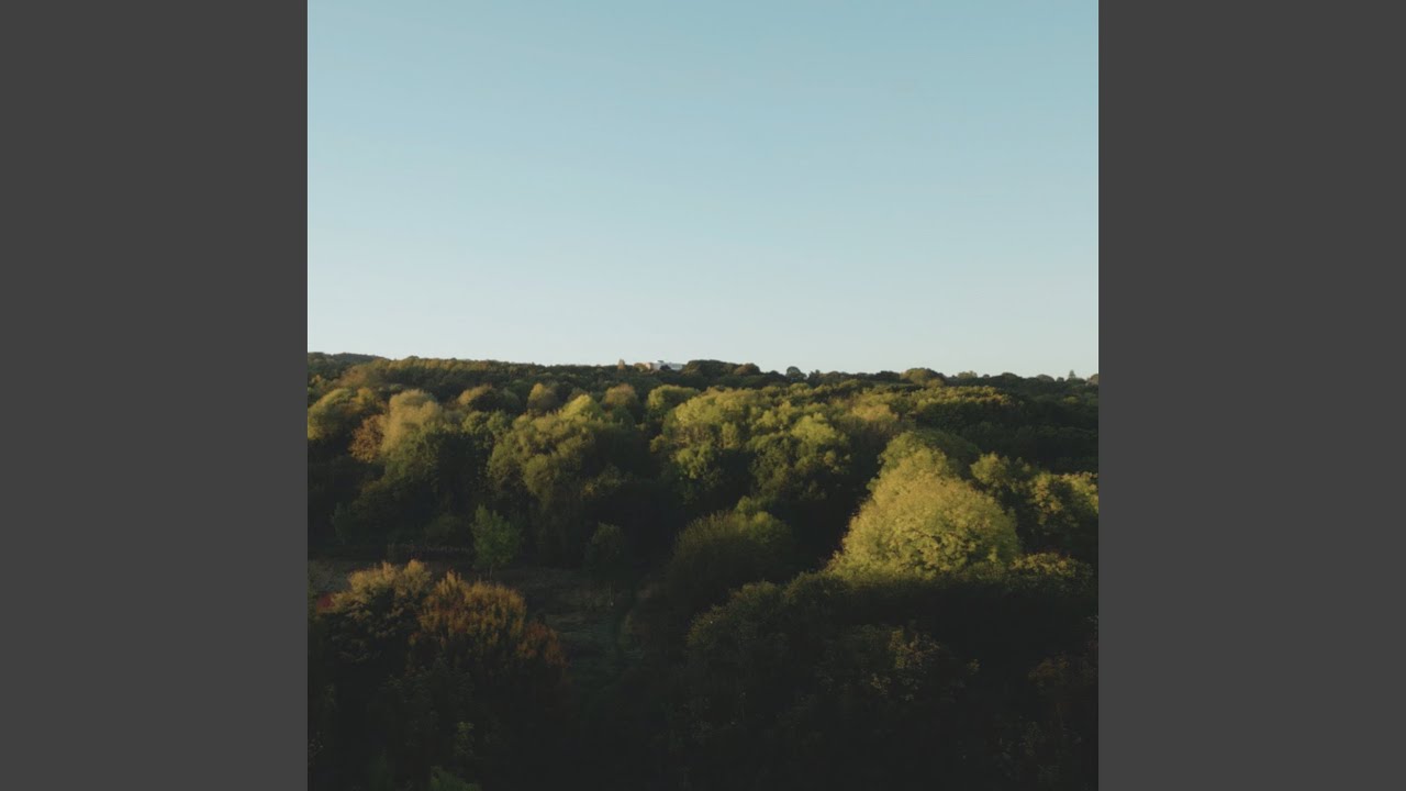 Carr (marsh)