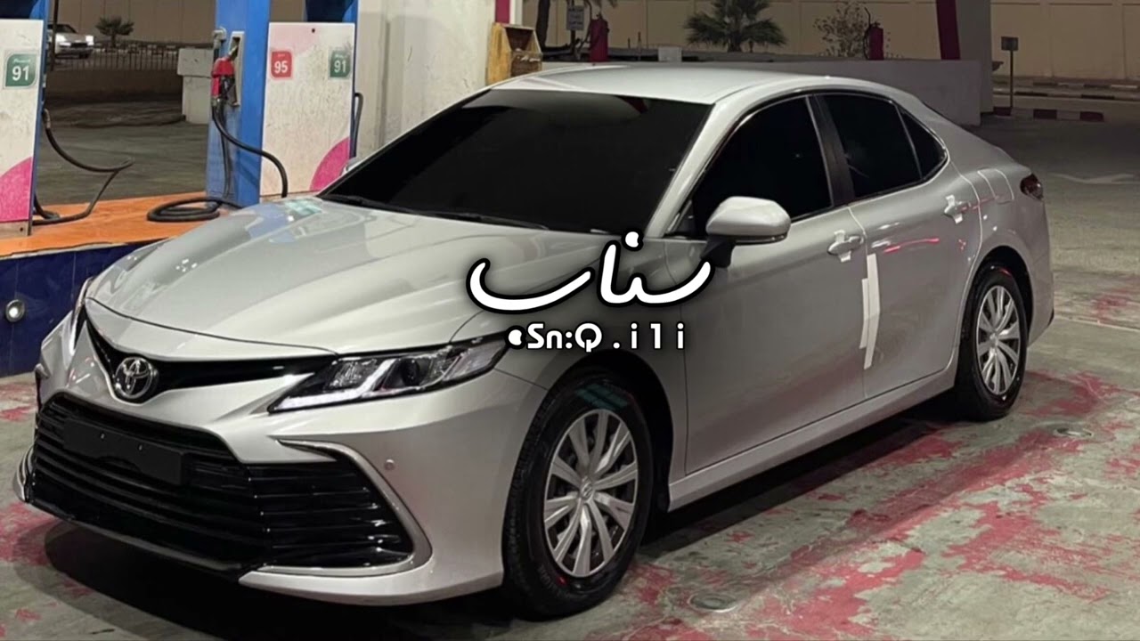 برفوق ياسيد المضانين برفوق || غريب ال مخلص - بندر اليامي || مطلوبه ♥️.