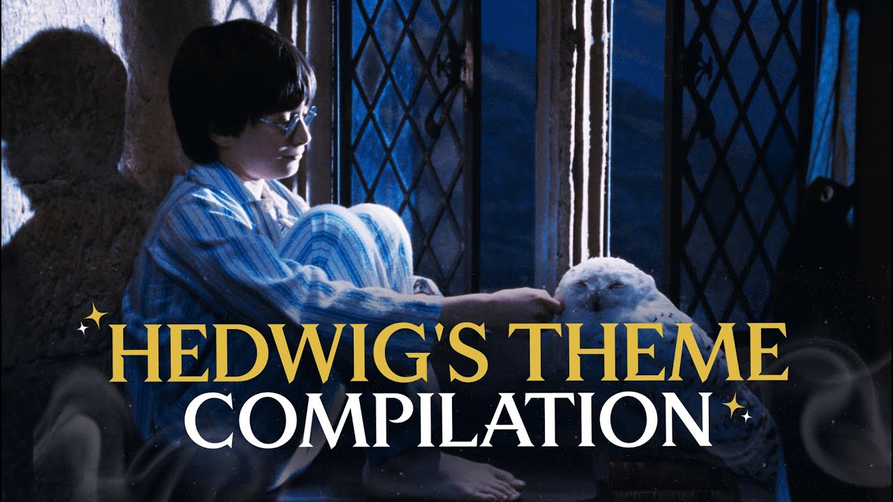 Every Time Hedwig's Theme Plays | Compilation | Harry Potter