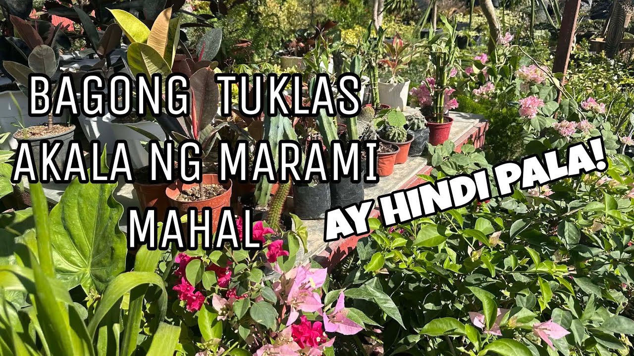BAGONG TUKLAS PERSTYM SA YOUTUBE#MARKANDMITCHGARDEN