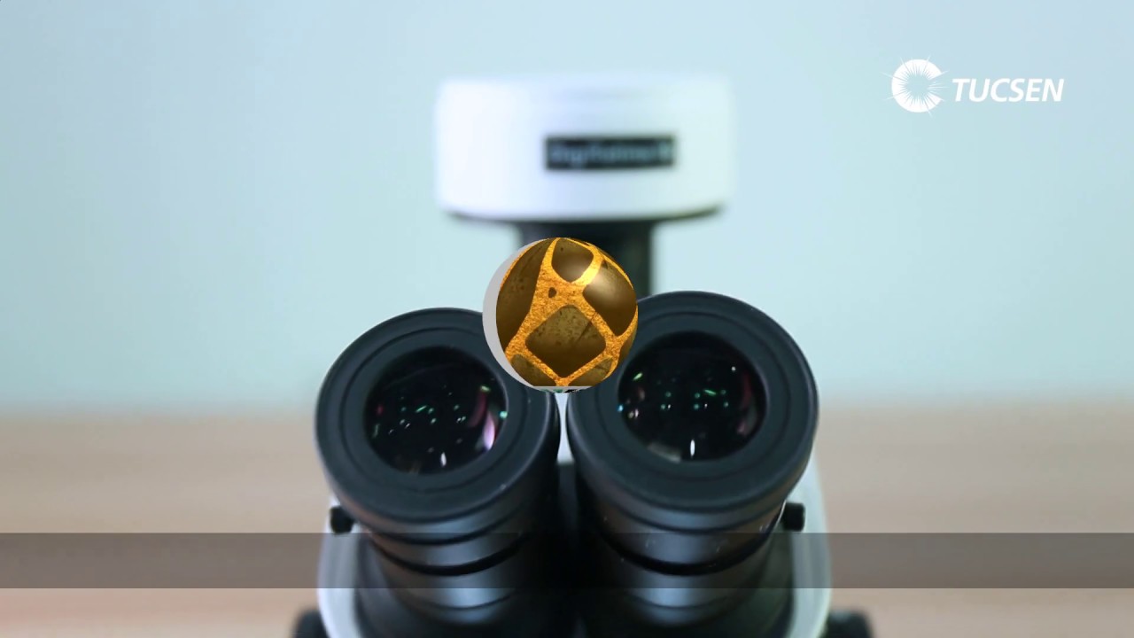 4 Tucsen USB Microscope Camera  Demo&mdash;IScapture software