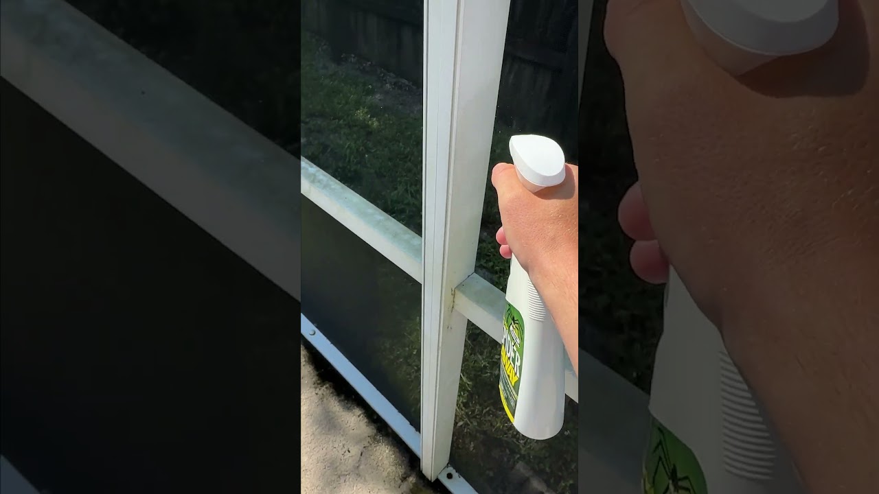 How to Keep Your Home Spider-Free with Star brite Spider Away
