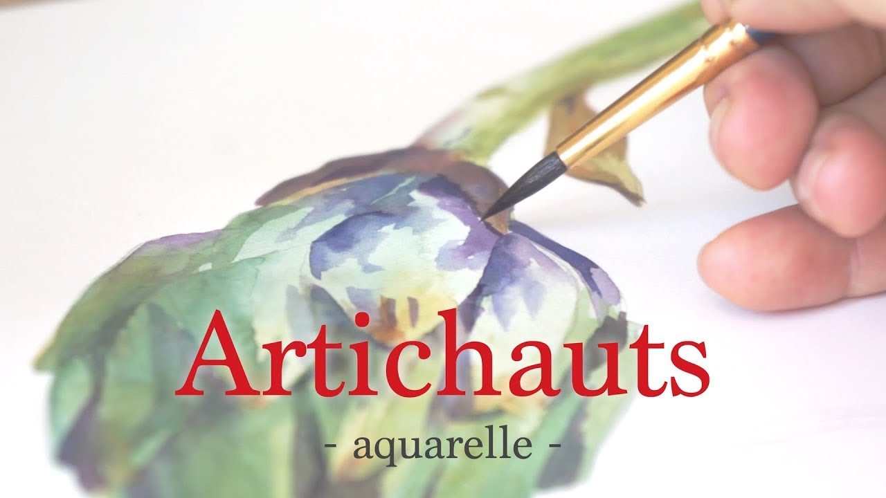 Dessiner des artichauts à l'aquarelle