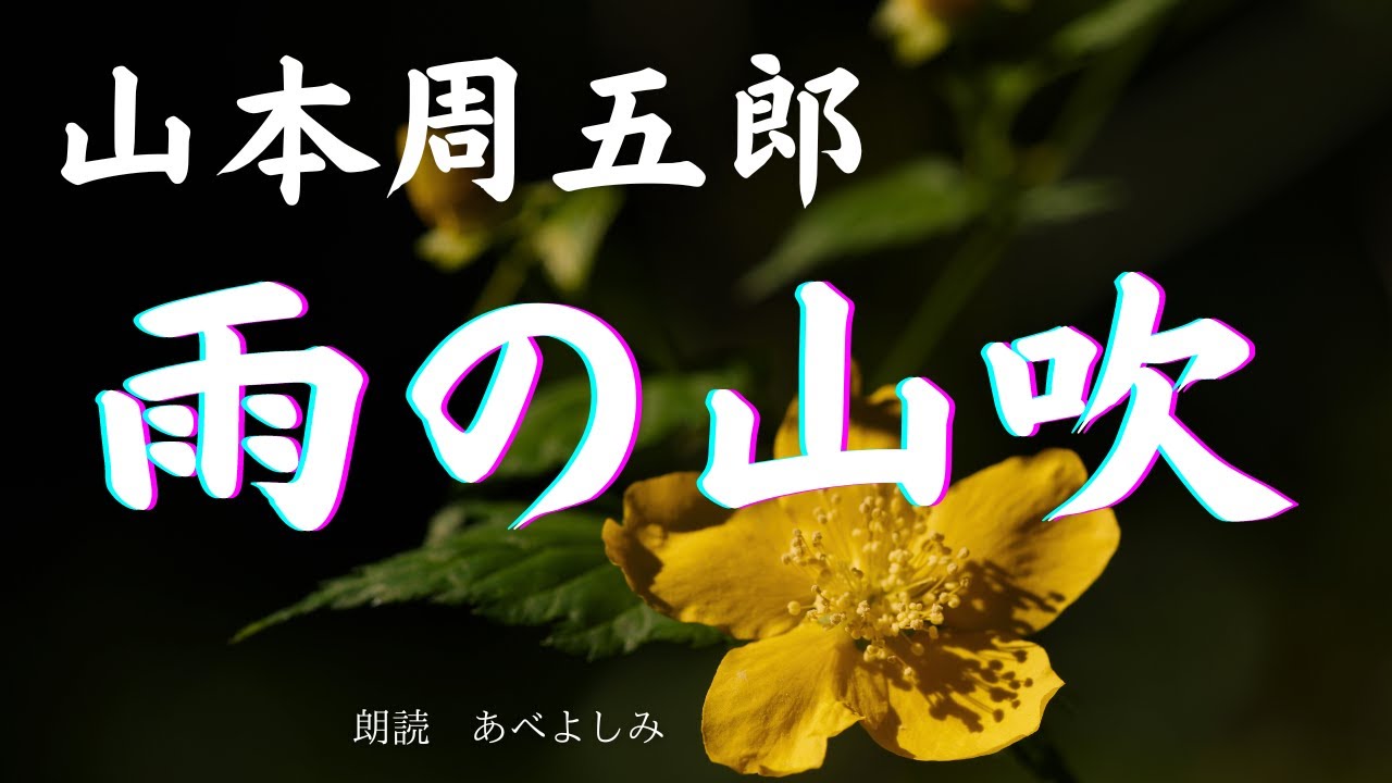 【朗読】山本周五郎「雨の山吹 」　　朗読・あべよしみ