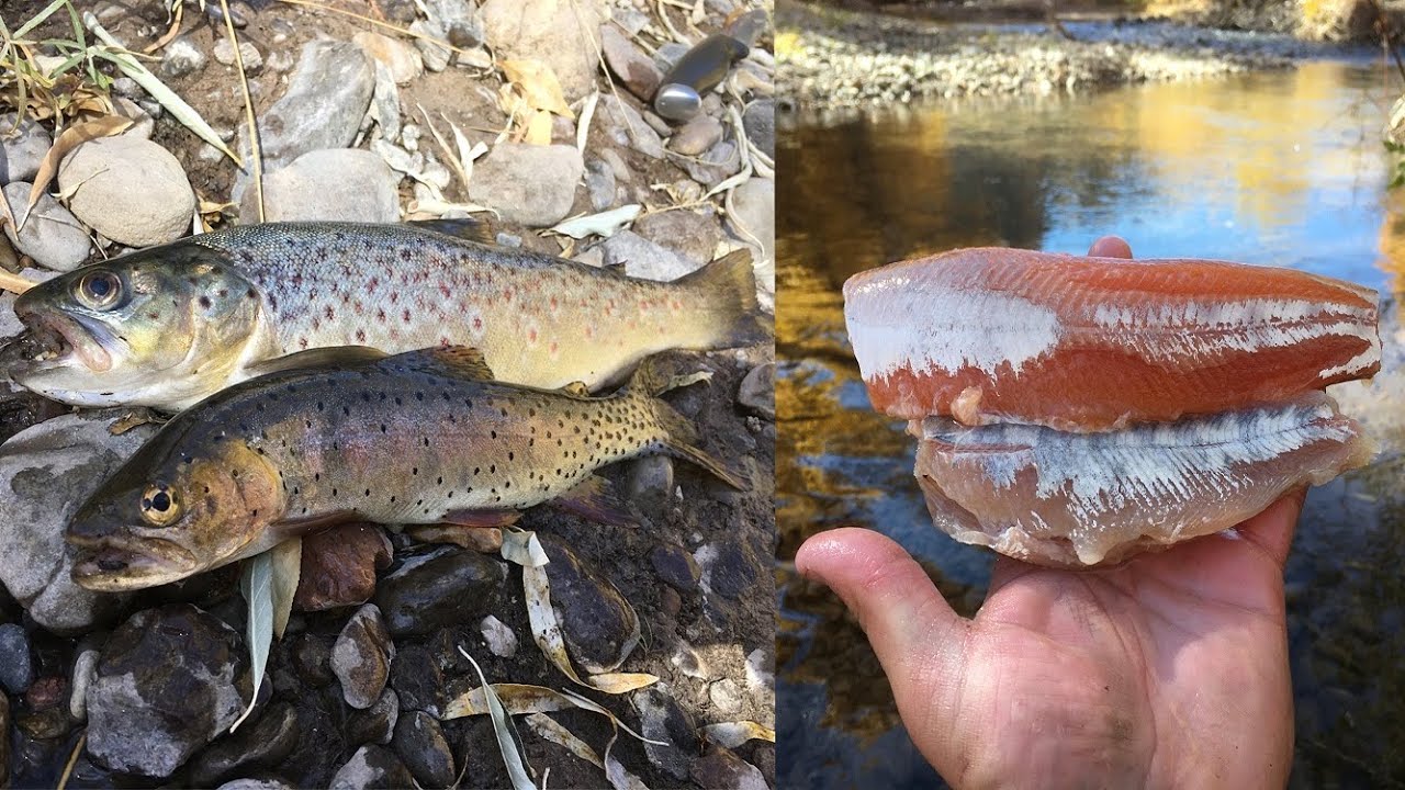 Brown Trout vs. Cutthroat Trout Catch & Cook Taste Test