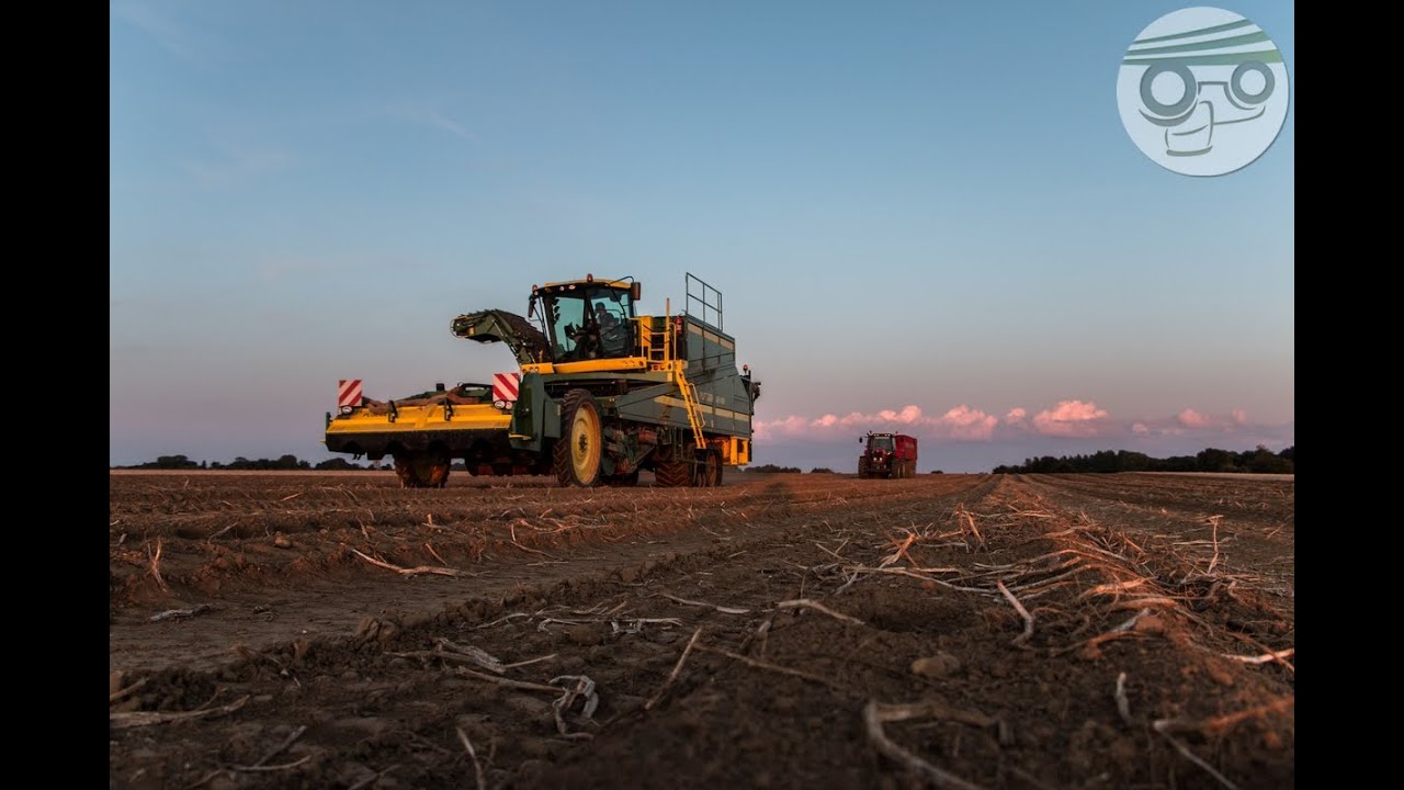 Ploeger AR-4W Arrachage pomme de terre 2014 !