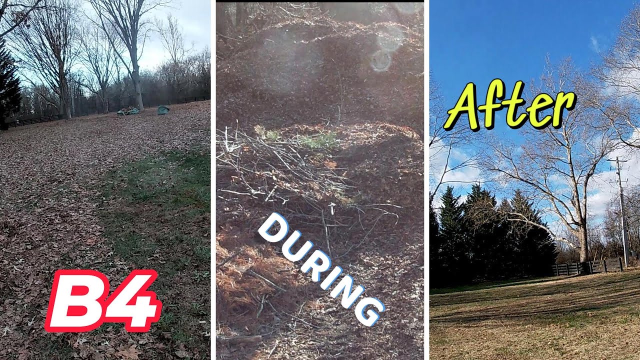 GATHER. CHOMP. RELOCATE. SOUNDS SO EASY. NOT SO! The PERFECT STORM of LEAVES. Lil Bastar!$