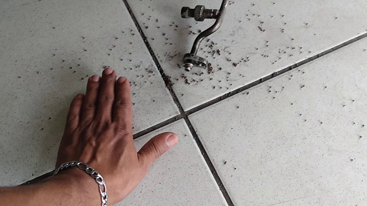 RENAULT SYMBOL AR CONDICIONADO não gela!