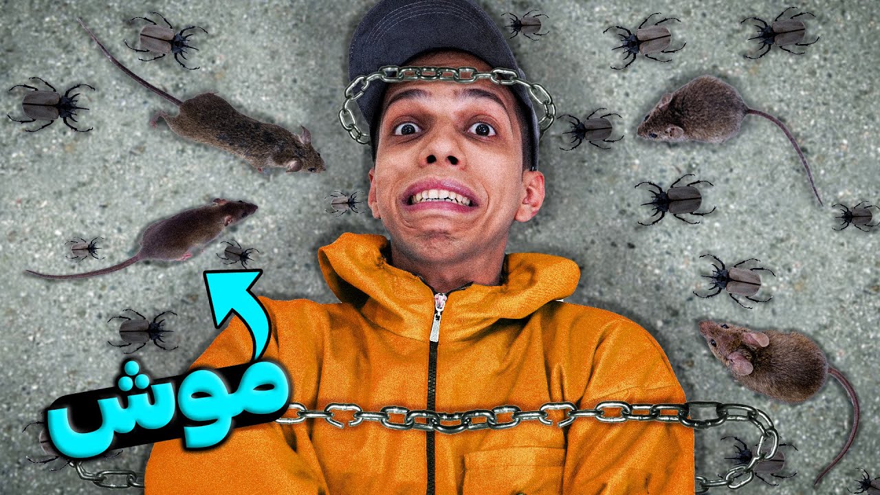 رو در رو شدن با 10 تا از ترسام در 24 ساعت